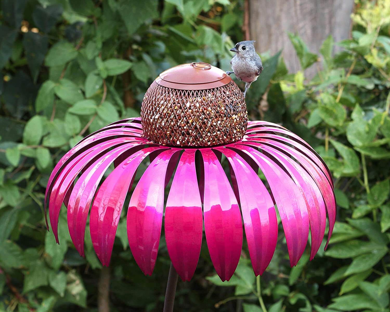 Alimentador de Aves Coneflower