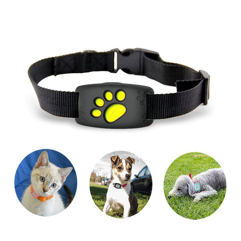 Collar GPS delgado para gatos