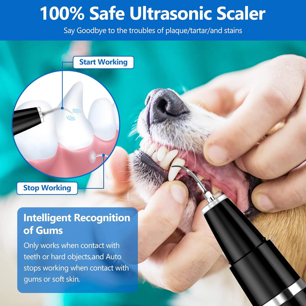 Kit de Limpieza Dental Ultrasónico para Mascotas BuddyCare Kalsten