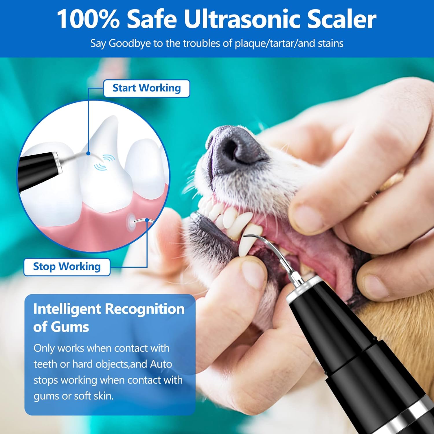 Kit de Limpieza Dental Ultrasónico para Mascotas BuddyCare Kalsten