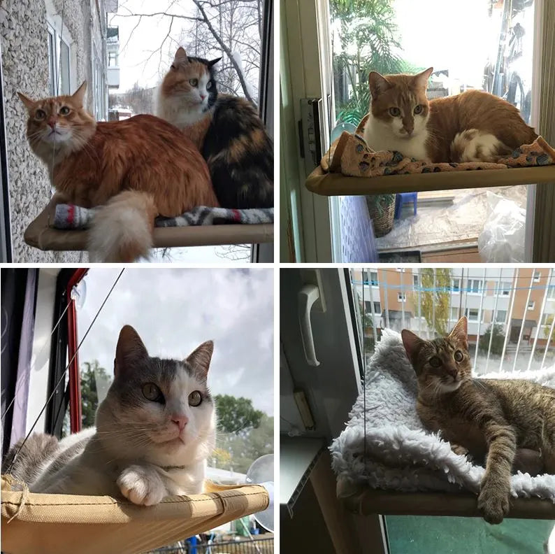 Hamaca de Ventana para Gatos