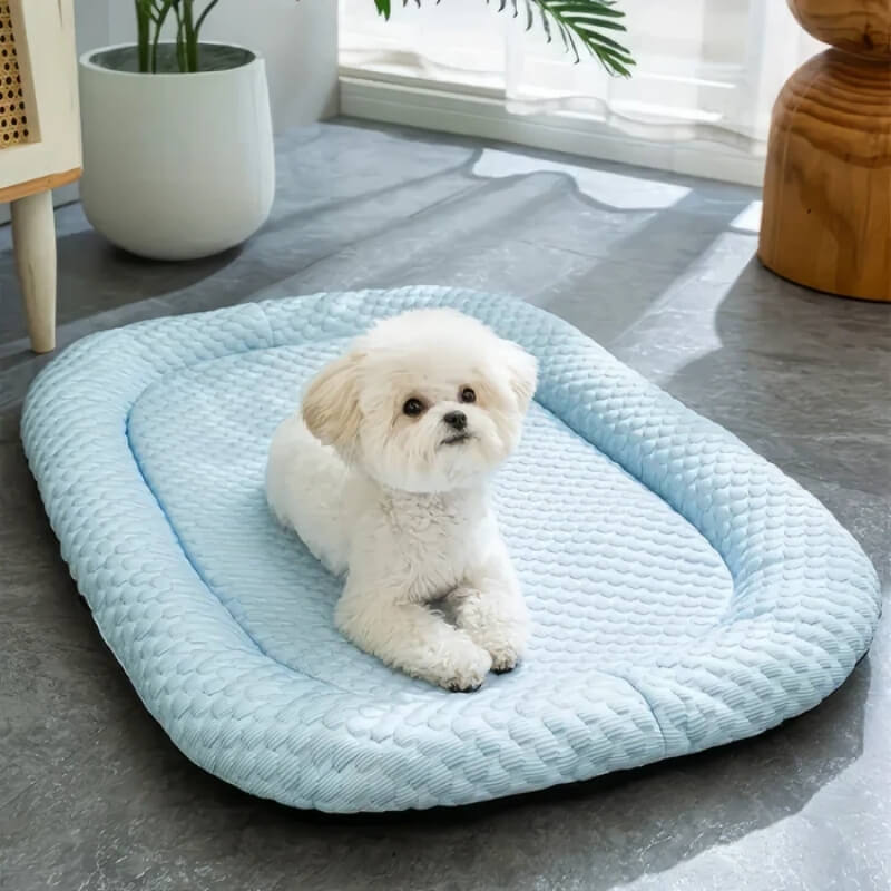 ChillPaws • Cama Refrigerante para Perros