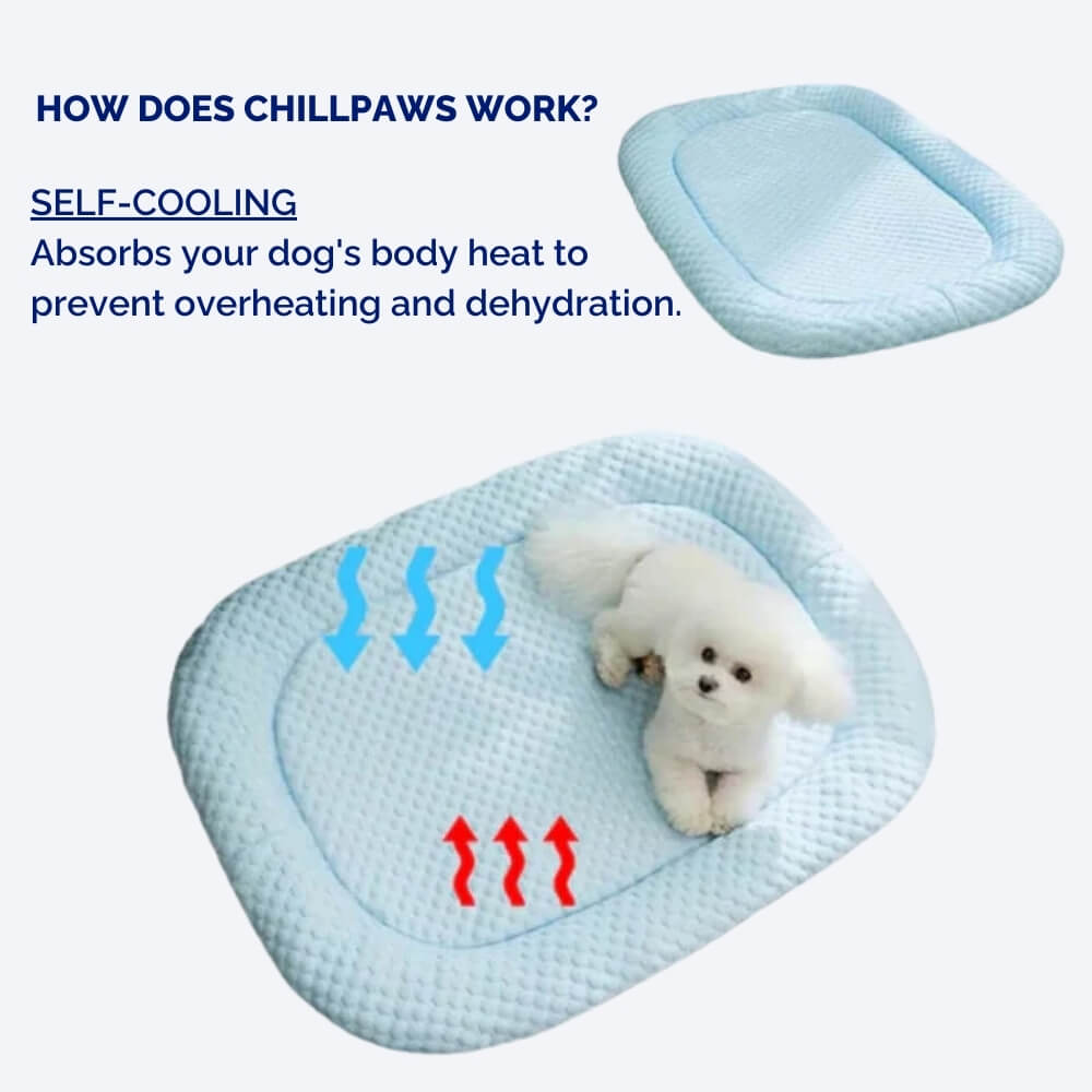 ChillPaws • Cama Refrigerante para Perros