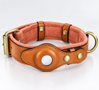 Collar para perro con soporte para AirTag – Ajuste regulable, construcción duradera, interior acolchado