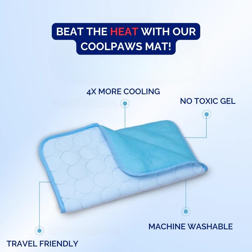 CoolPaws • Alfombrilla Refrigerante para Perros