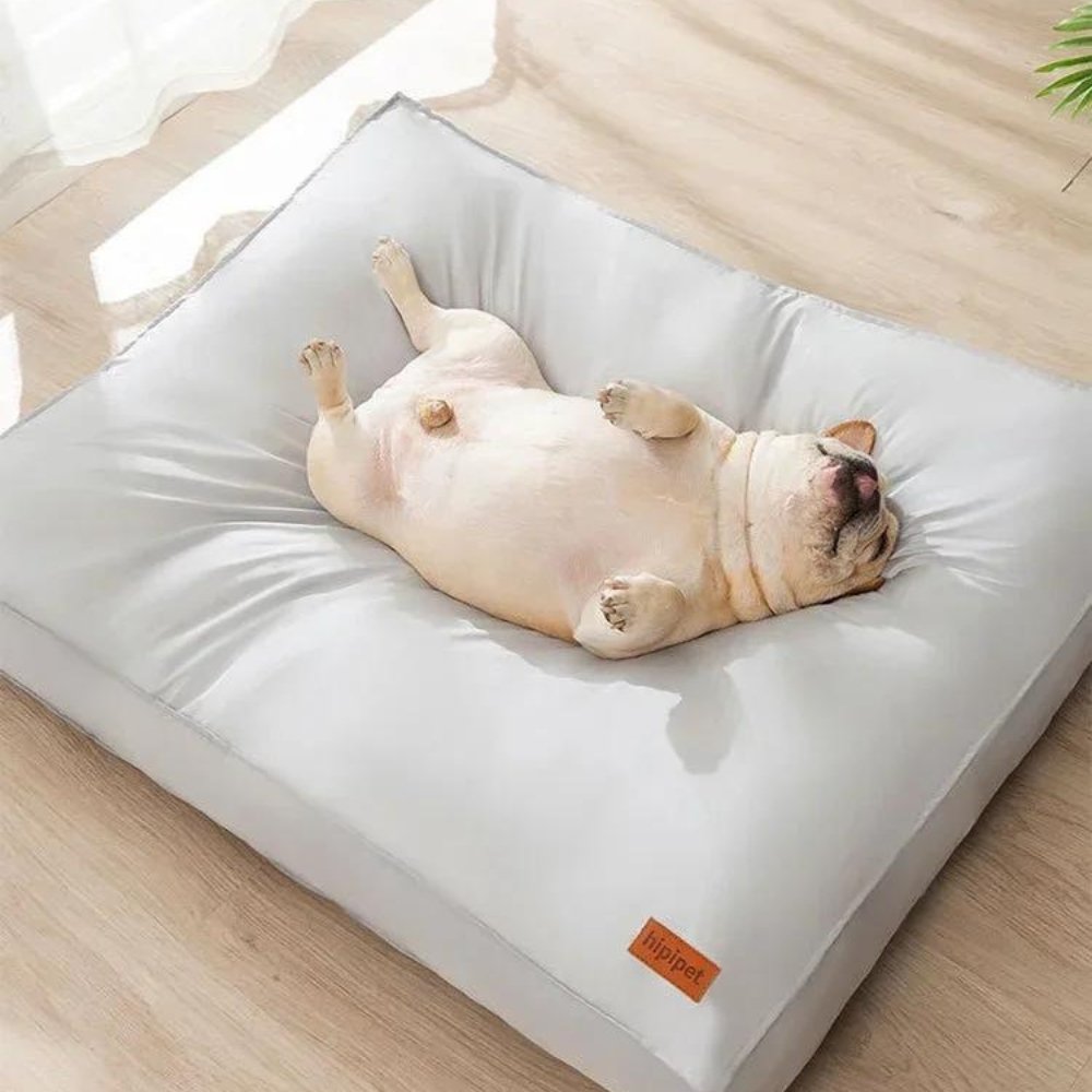 CozyGuard • Cama para Perros Impermeable y Cómoda