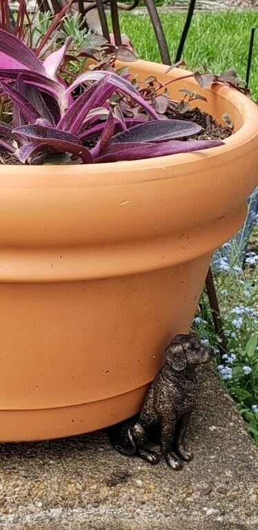 Kalsten | Patas de Maceta para Plantas
