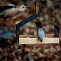 TweetWood – Casa de pájaros colgante con diseño natural para una vida de jardín vibrante