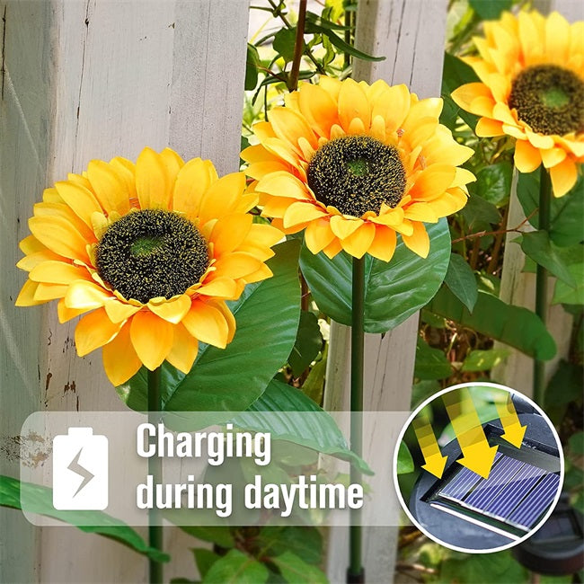 SunGlow — Lámparas de girasol solar | 50% DESCUENTO