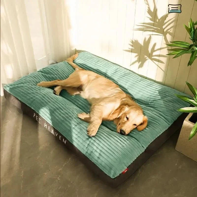 FlauschNest Cama Ortopédica para Perros – Acogedora y de Soporte para Noches Reparadoras