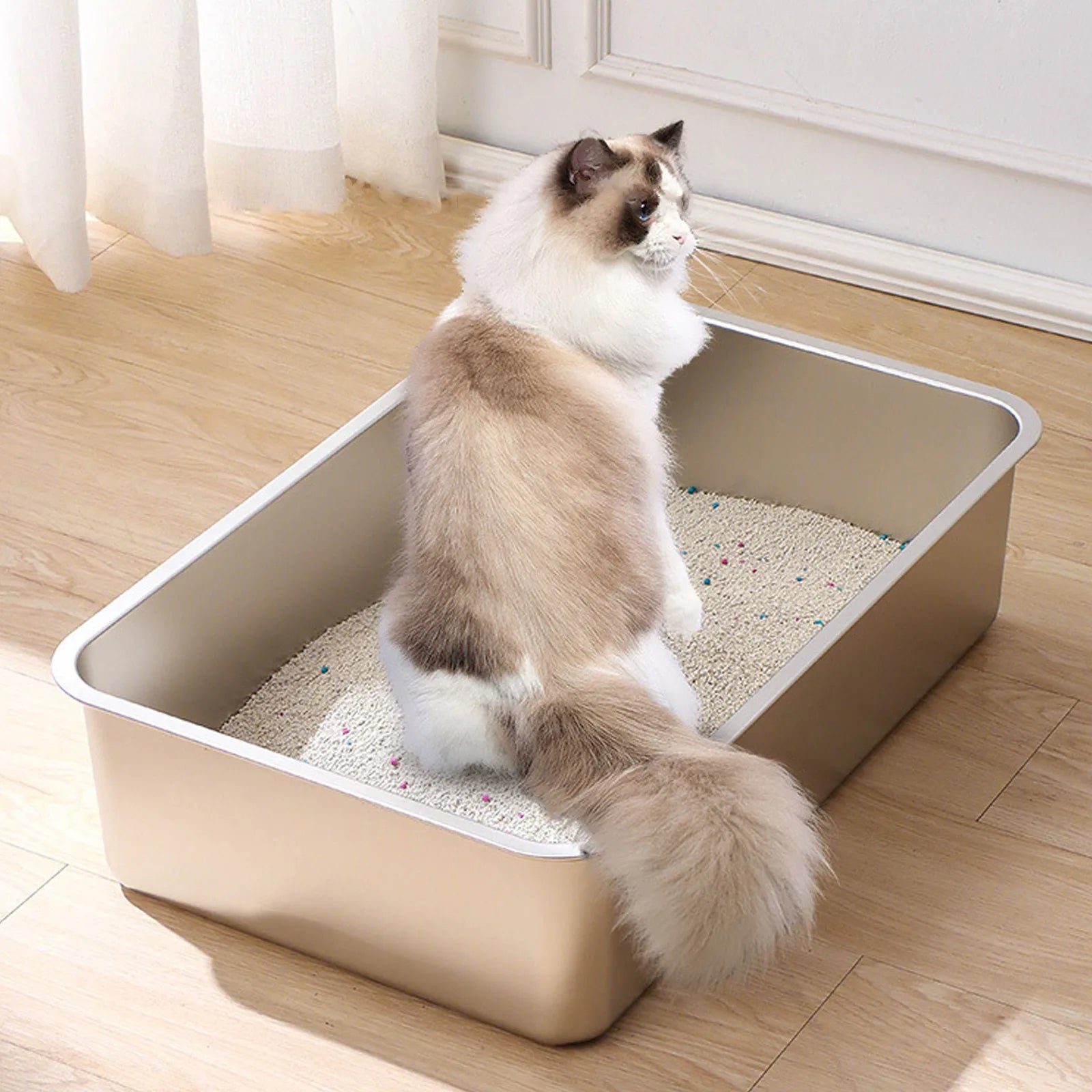 Bandeja de Arena para Gatos de Acero Inoxidable de Bordes Altos