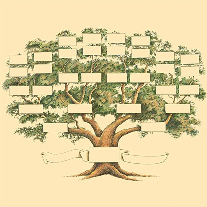 Diagrama Genealógico Decorativo en Tela de Alta Calidad para el Hogar