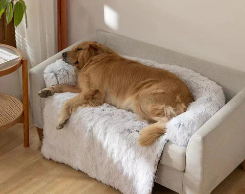 Cubierta de Sofá Cama Acogedora