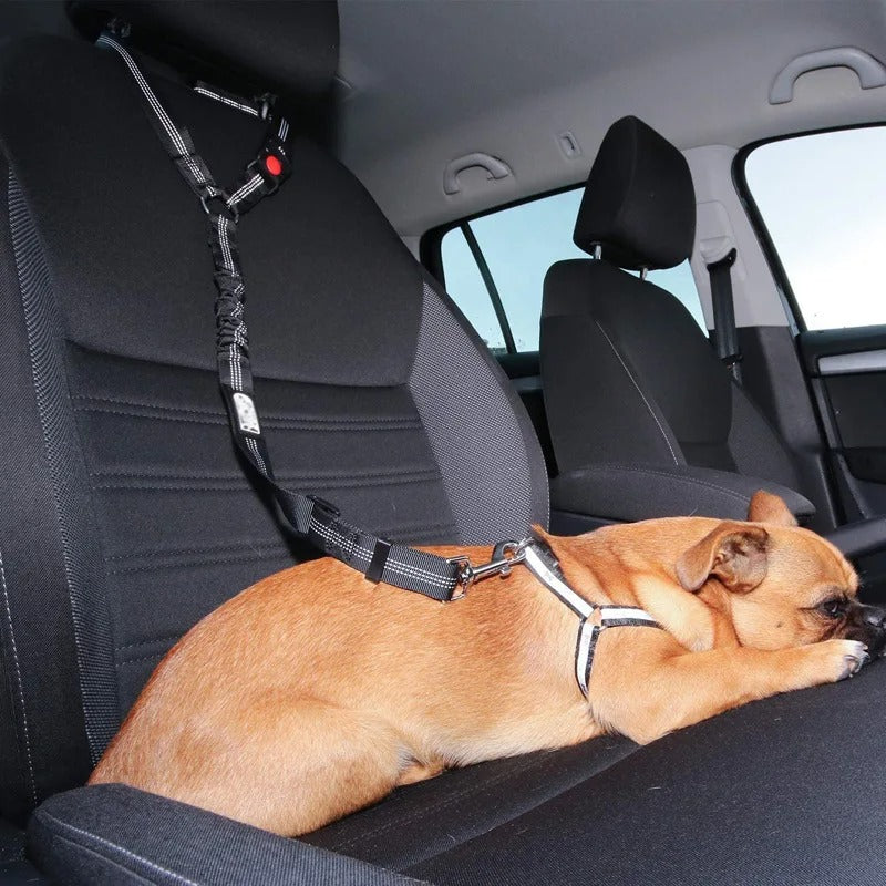 Cinturón de Seguridad para Perros en el Auto con Clip Giratorio de 360 Grados