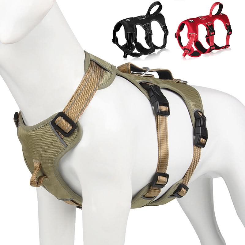 Arnés para Perros GRIPLY - Antitirones, Confort y Seguridad