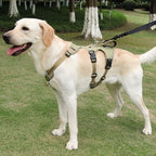 Arnés para Perros GRIPLY - Antitirones, Confort y Seguridad