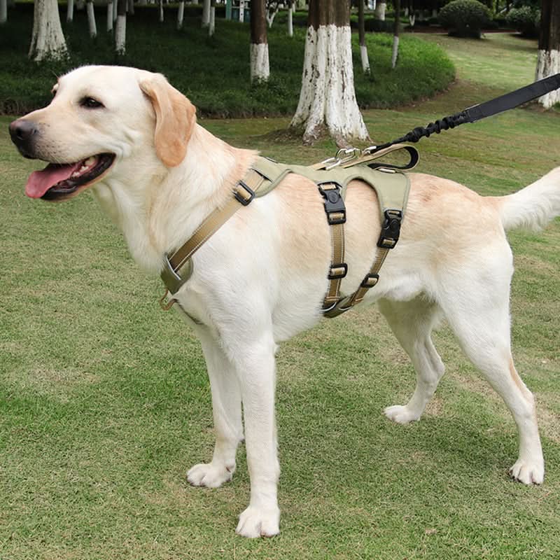 Arnés para Perros GRIPLY - Antitirones, Confort y Seguridad