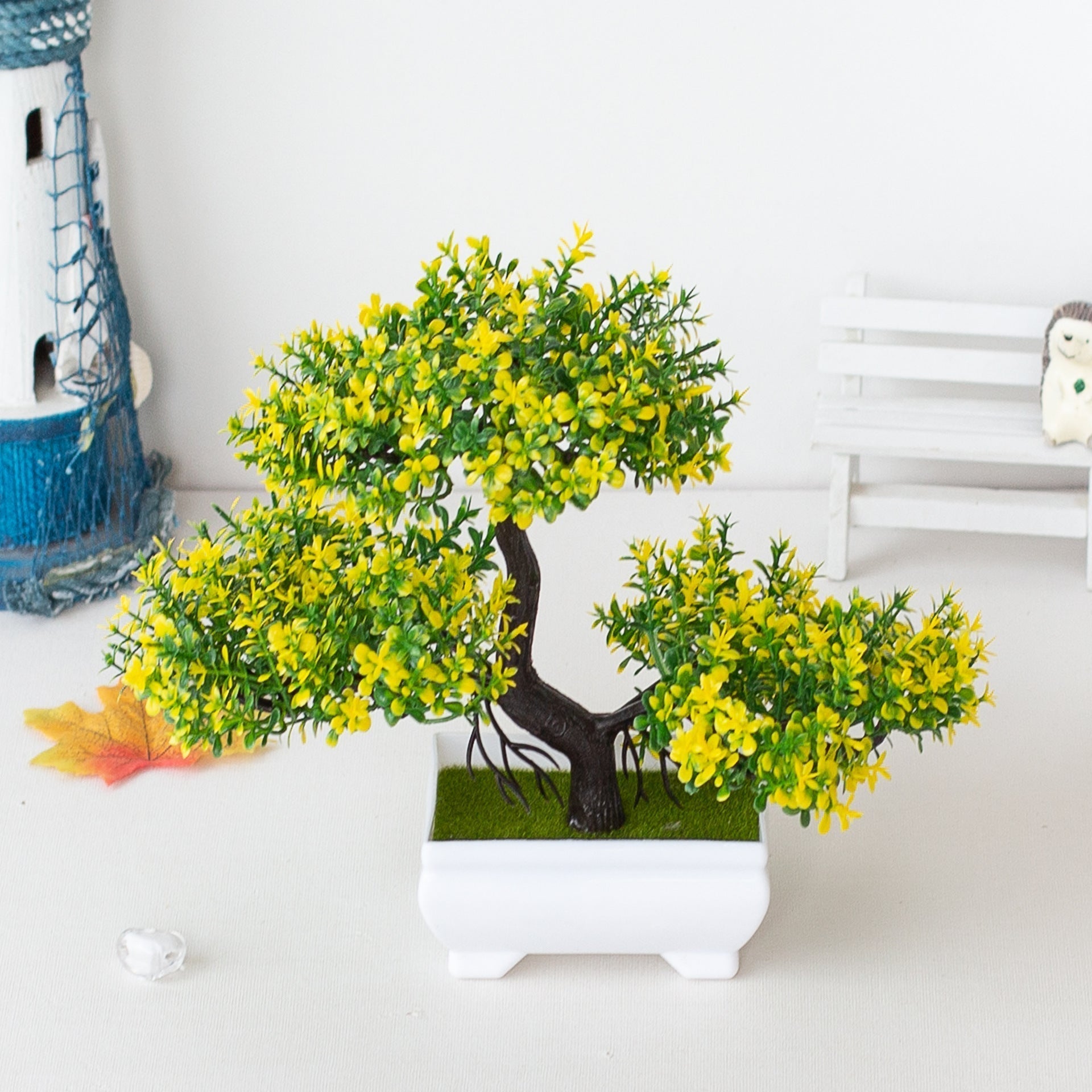 Kalsten | Planta Bonsai