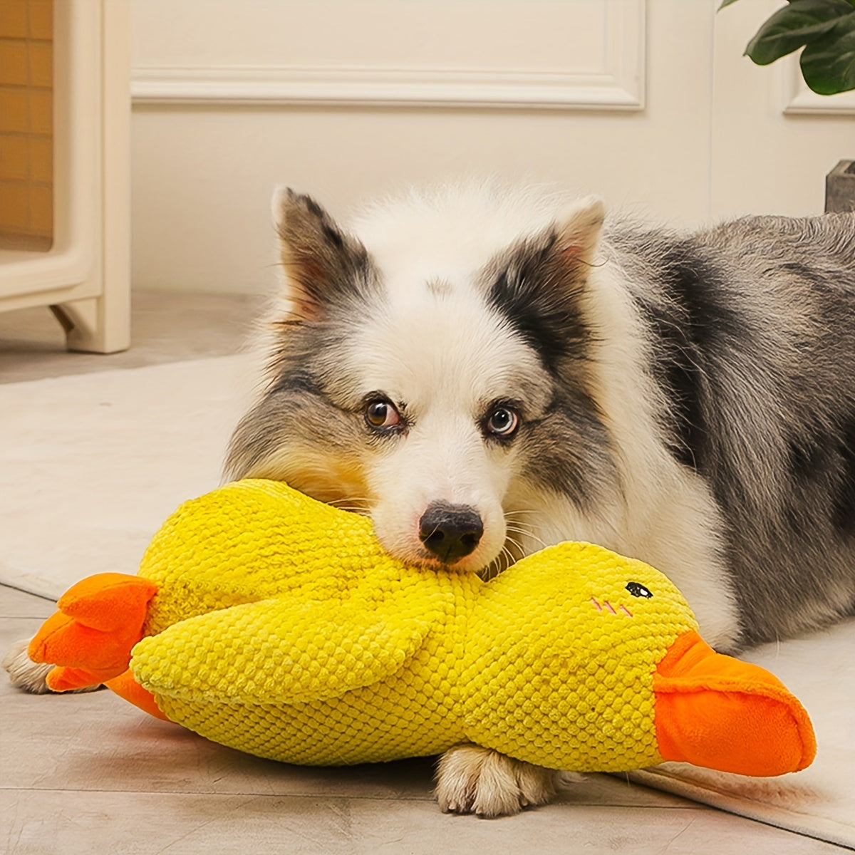 Juguete Durabuddy para mascotas