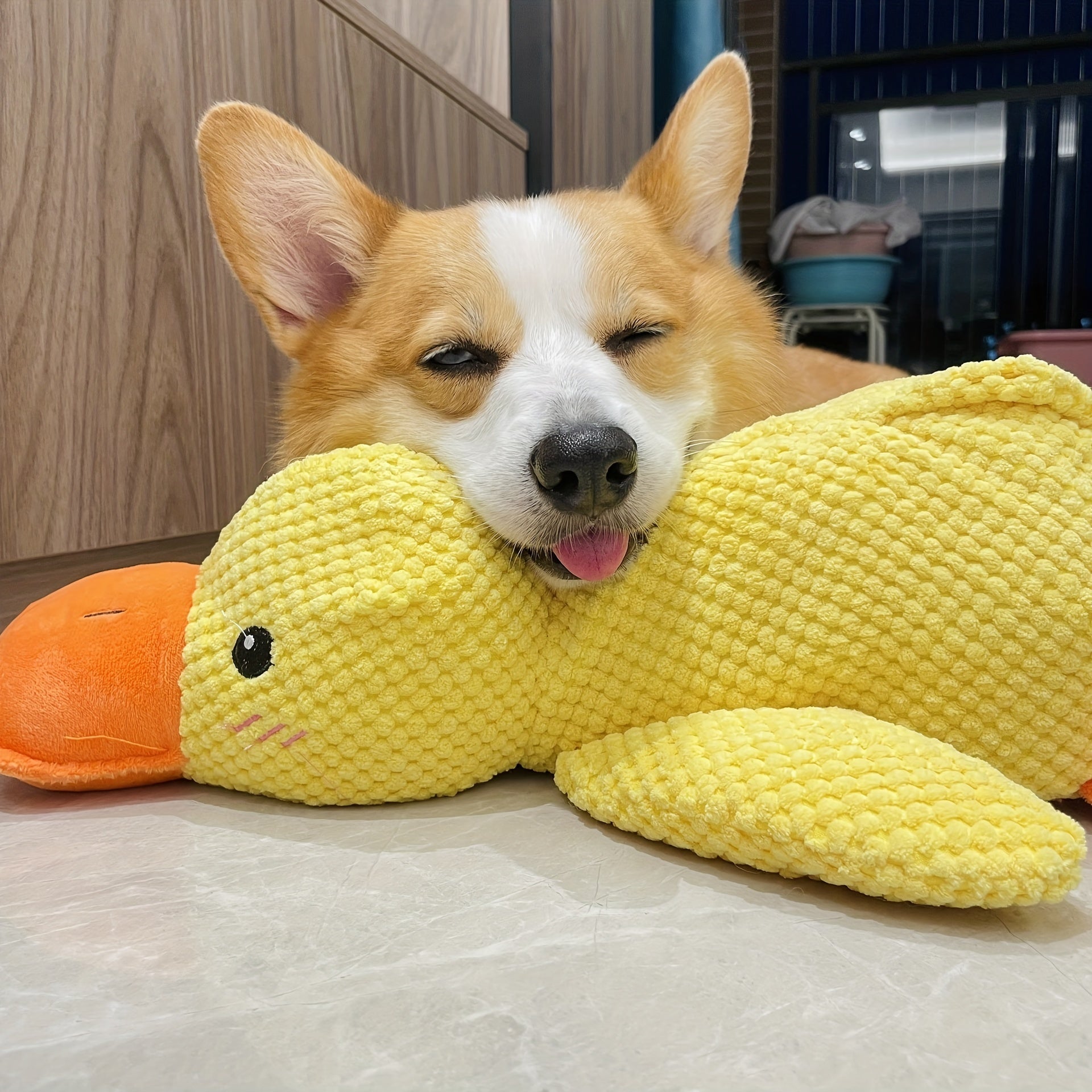 Juguete Durabuddy para mascotas