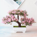 Kalsten | Planta Bonsai