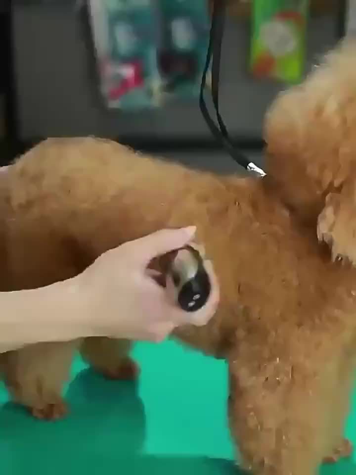 Cortadora de Mascotas Inalámbrica - Recargable por USB y Silenciosa