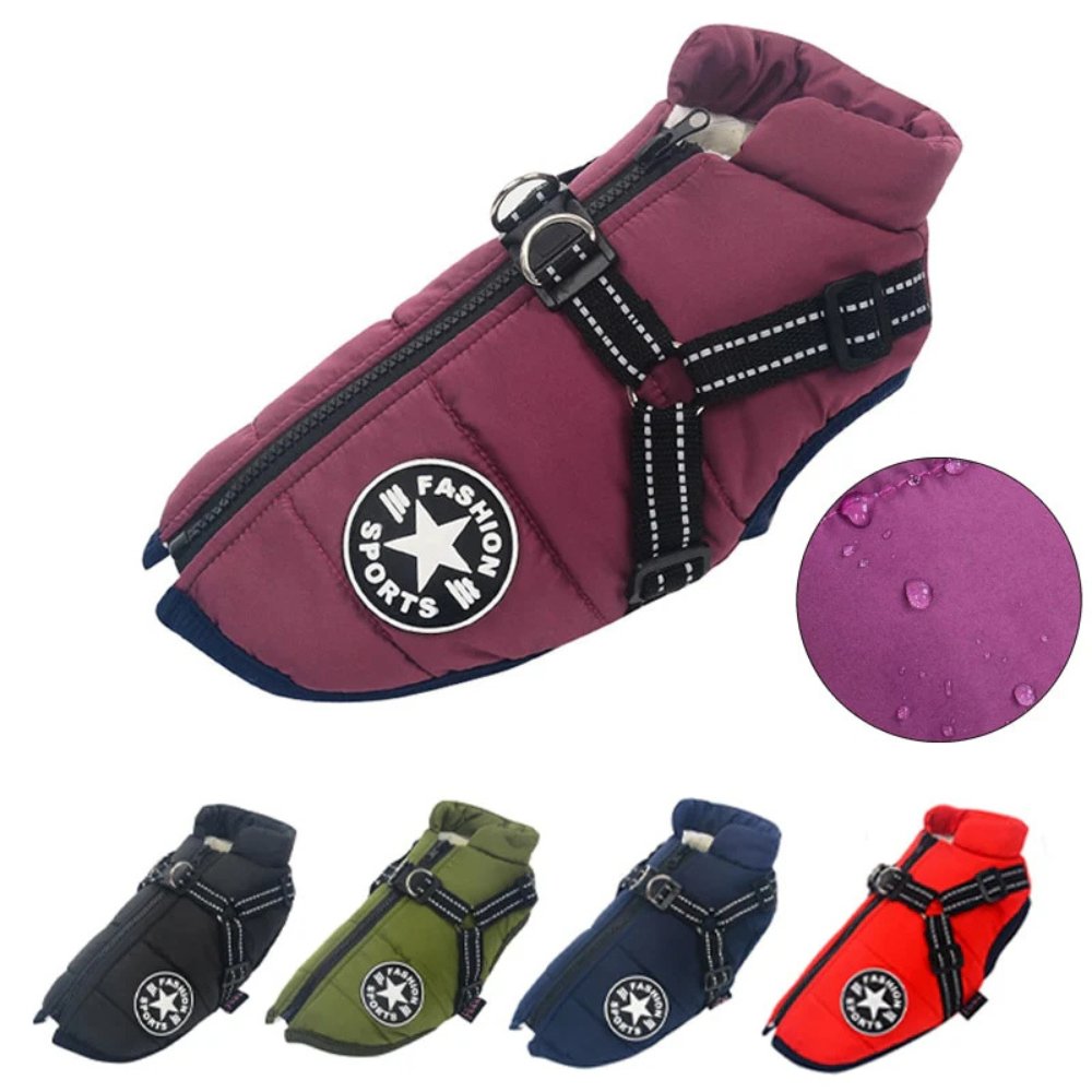 DryPaw • Abrigo Impermeable para Perros