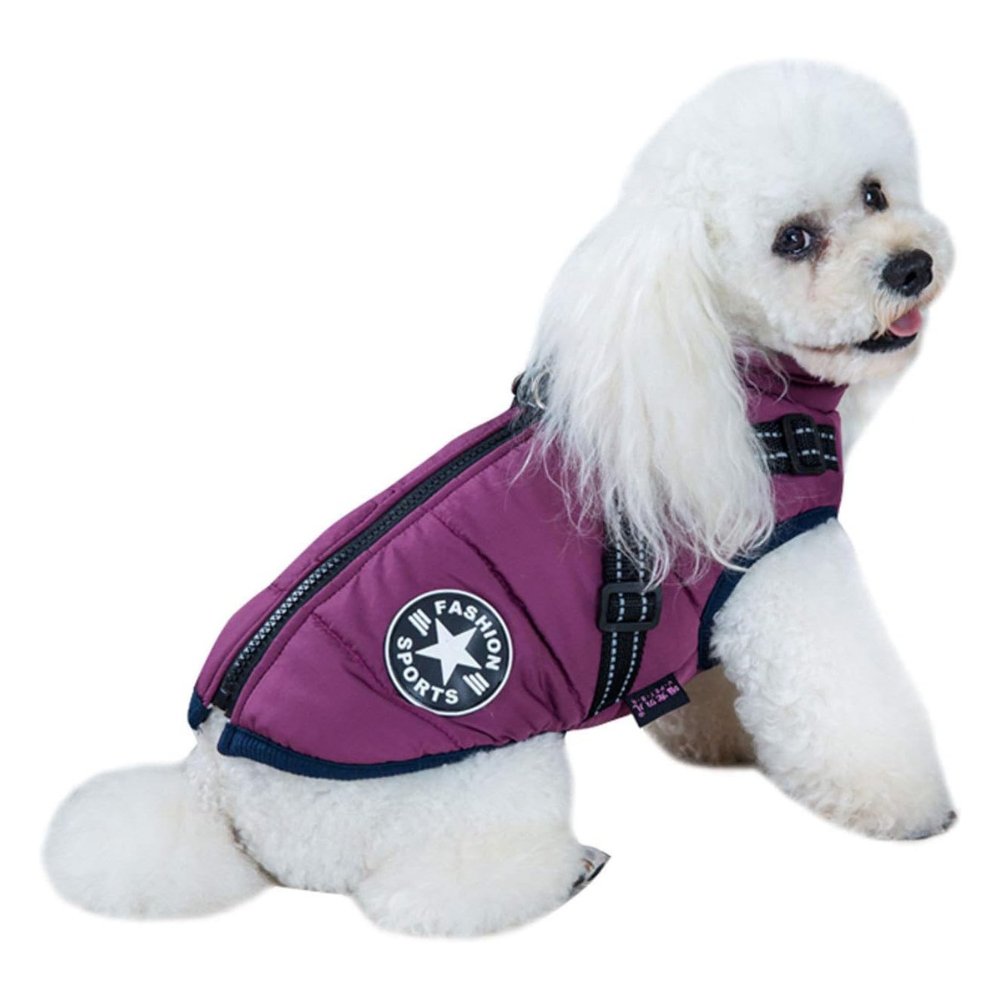 DryPaw • Abrigo Impermeable para Perros
