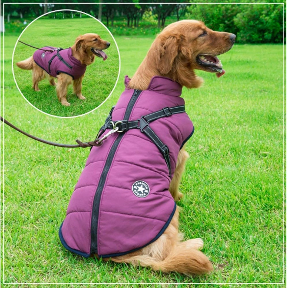 DryPaw • Abrigo Impermeable para Perros