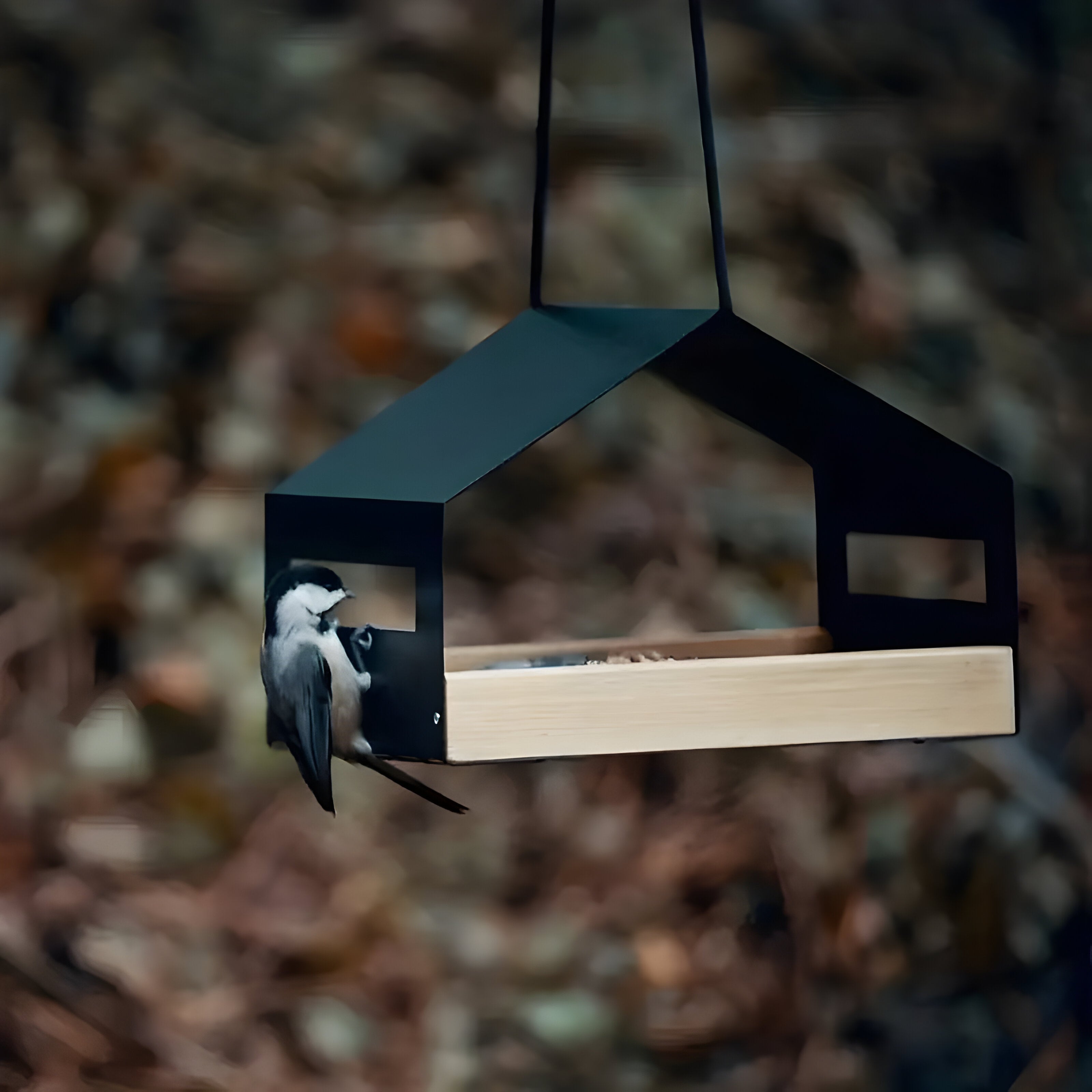 TweetWood – Casa de pájaros colgante con diseño natural para una vida de jardín vibrante