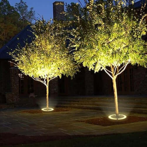 Foco para Árbol Exterior