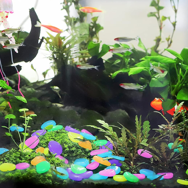 GlowPebbles — Piedras de Jardín Brillantes | 50% DESCUENTO