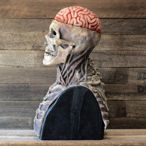 SkullReal - Traje de esqueleto ultrarrealista para Halloween