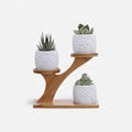 BloomStand - Soporte Multifuncional para Plantas con Doble Nivel y Diseño Portátil