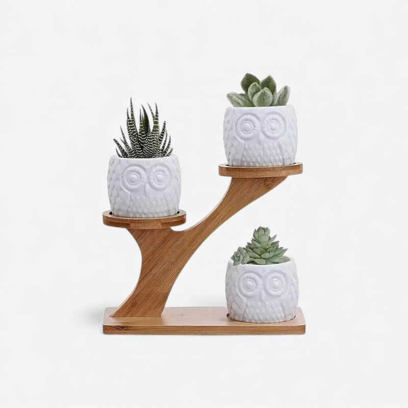 BloomStand - Soporte Multifuncional para Plantas con Doble Nivel y Diseño Portátil