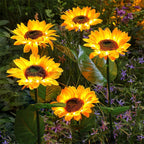 SunGlow — Lámparas de girasol solar | 50% DESCUENTO
