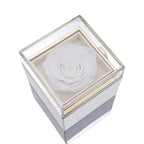 Caja de Rosa Eterna con Collar Personalizado para Damas