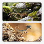DinoVenture Explorador — Desata la salvaje fantasía