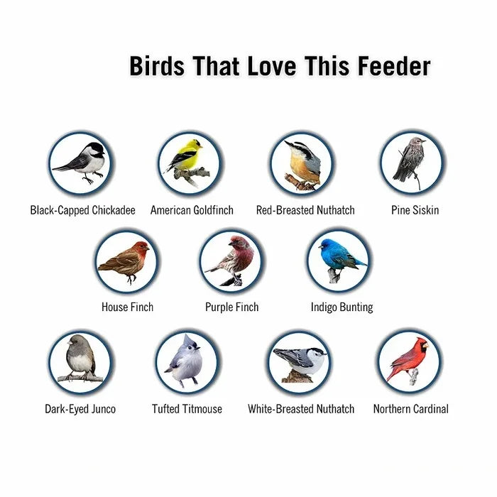 Comedero para Aves a Prueba de Ardillas