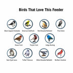 Comedero para Aves a Prueba de Ardillas