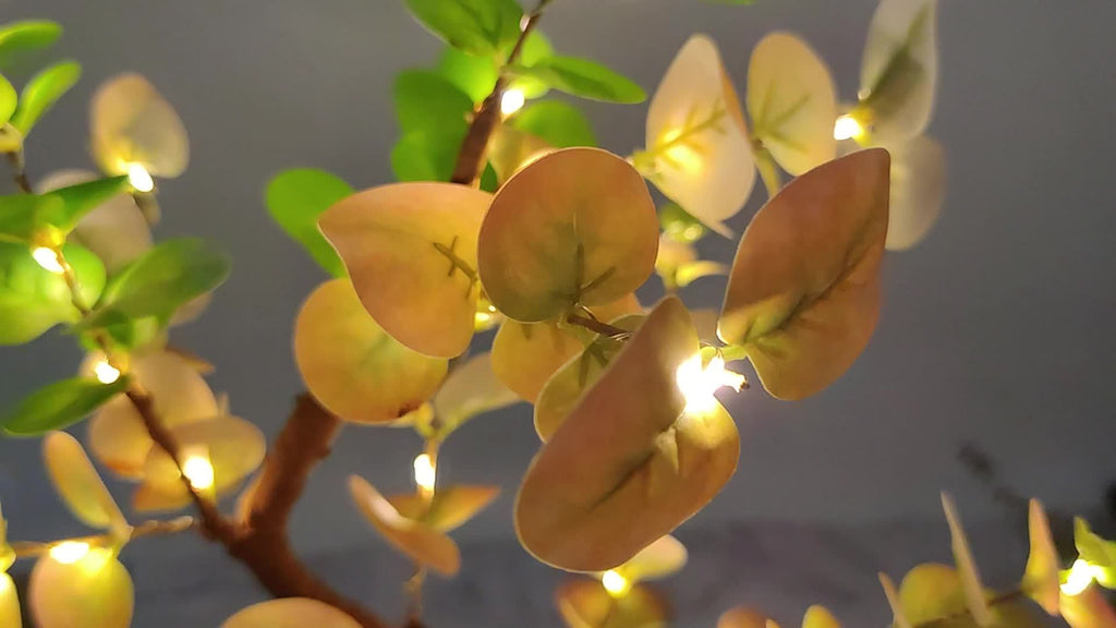 Lámpara de Eucalipto Sereen - Para Iluminación Relajante y Estética Natural