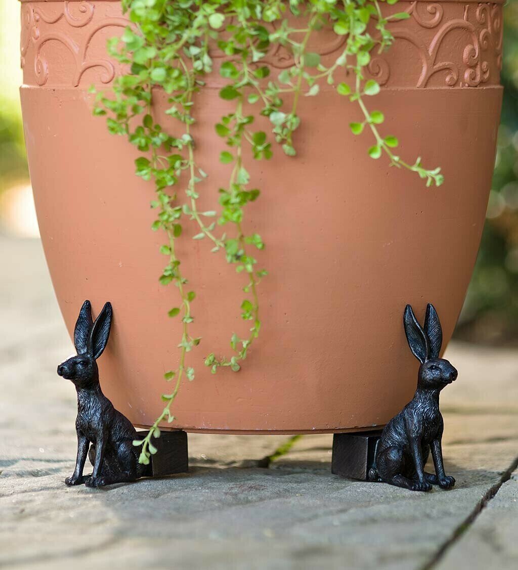 Kalsten | Patas de Maceta para Plantas