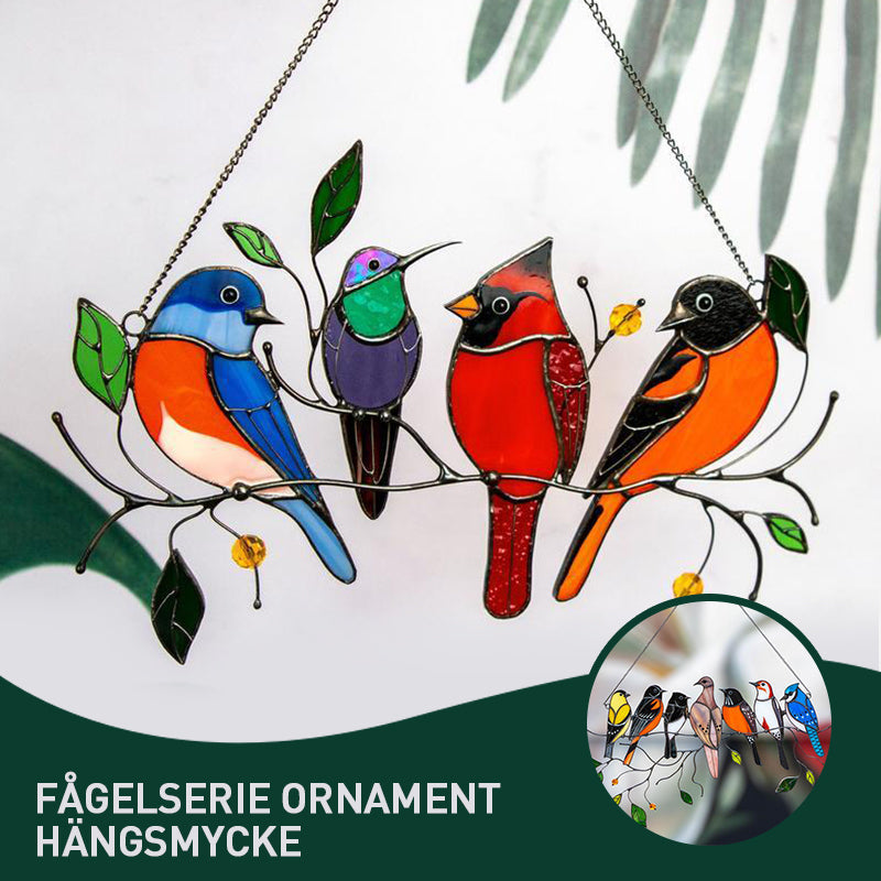 Decoración Colgante de Pájaros Coloridos | Acrílico