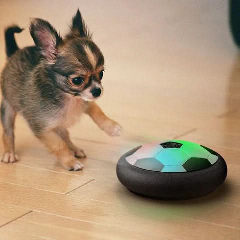 CHASESPARK – Pelota interactiva para perros con movimientos impredecibles