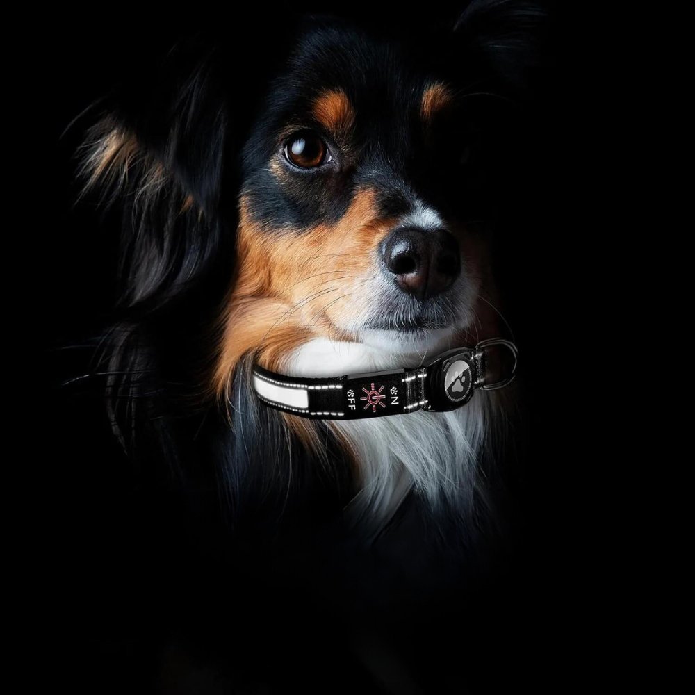 GlowGuard • Collar para Perros con AirTag