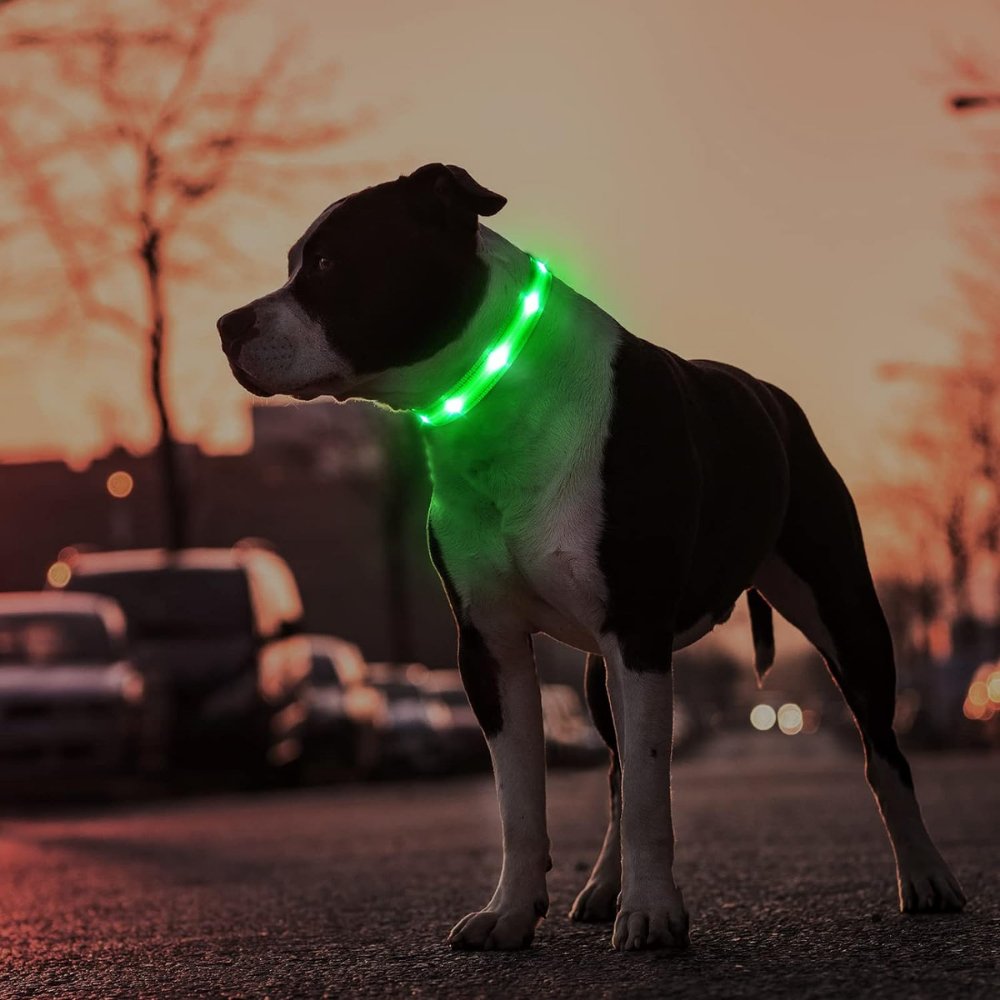 GlowGuard • Collar para Perros con AirTag