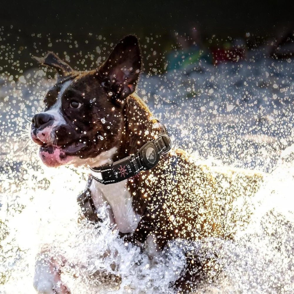 GlowGuard • Collar para Perros con AirTag