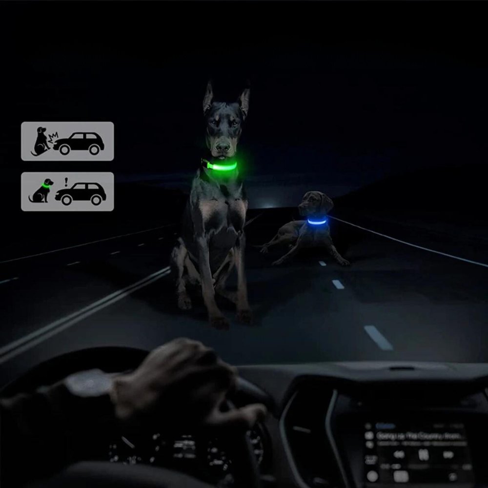 GlowGuard • Collar para Perros con AirTag