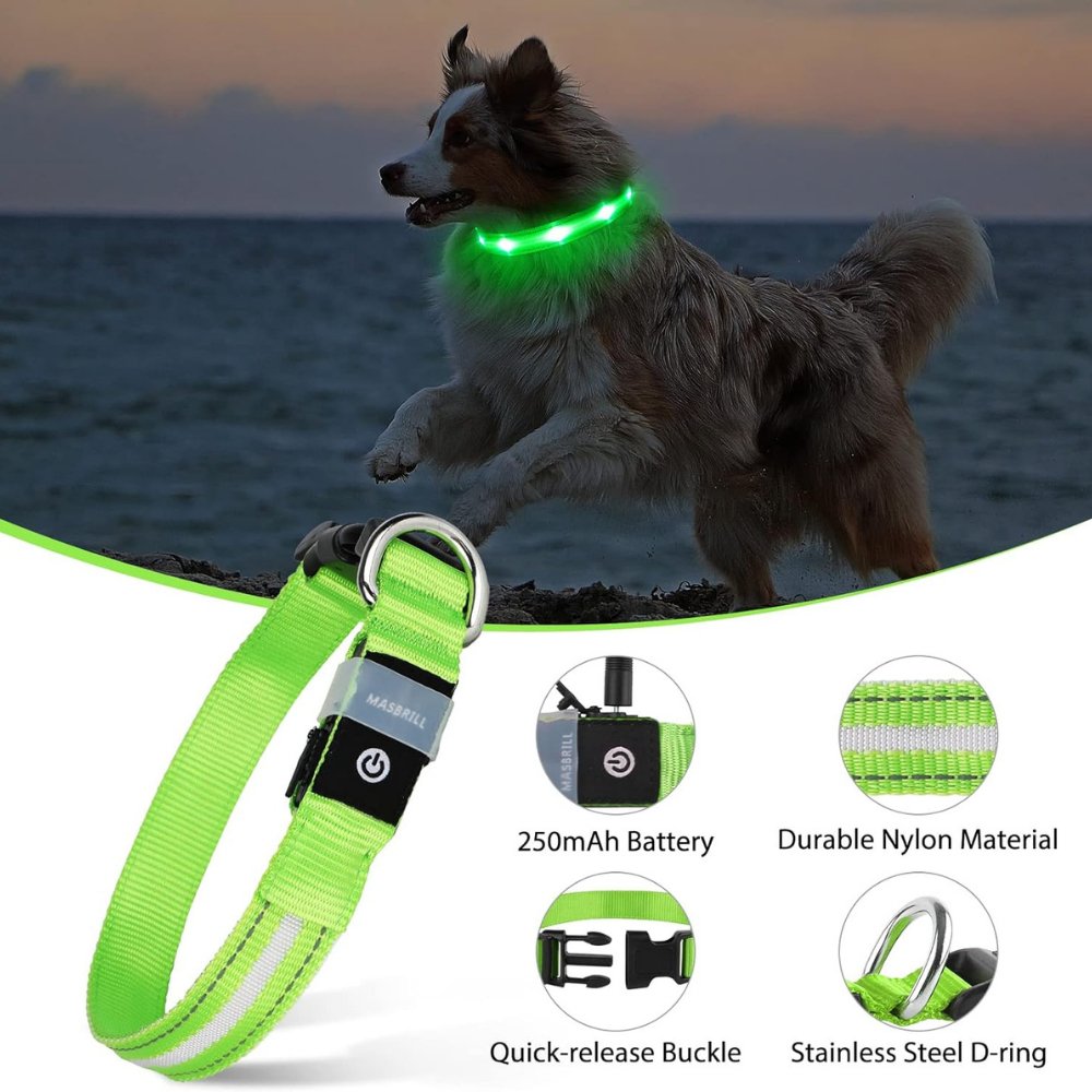 GlowGuard • Collar para Perros con AirTag
