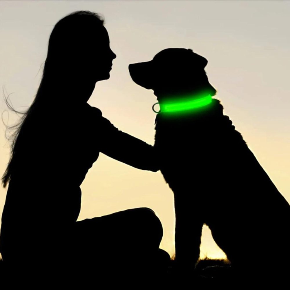 GlowGuard • Collar para Perros con AirTag